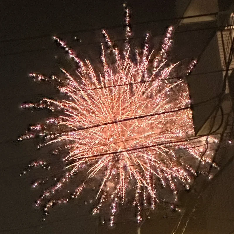 隅田川花火大会