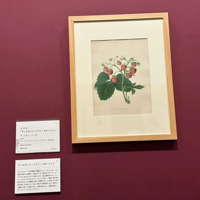 SOMPO美術館の展示品